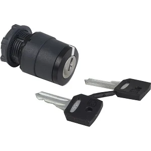 Schneider Key Switch ZB5AG2